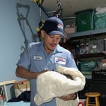 Kitten Rescue from Drain Line