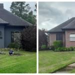 Bed clean up and mulching