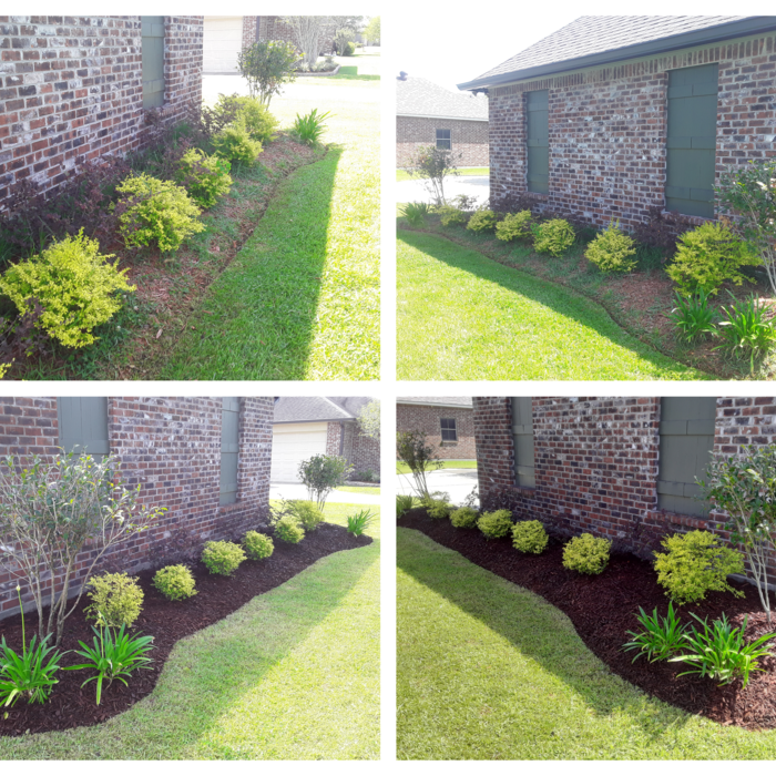 Bed clean up and mulching