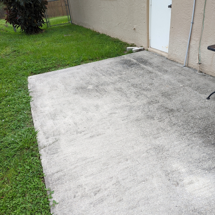 Dirt and mold