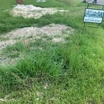 Commerical Properties