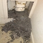 Dryer-vent