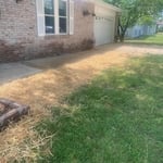 Yard Drain