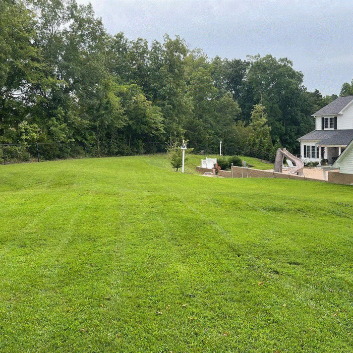 tobacco road lawn and landscaping Tobacco Road Lawn Care Reviews - Randleman, NC