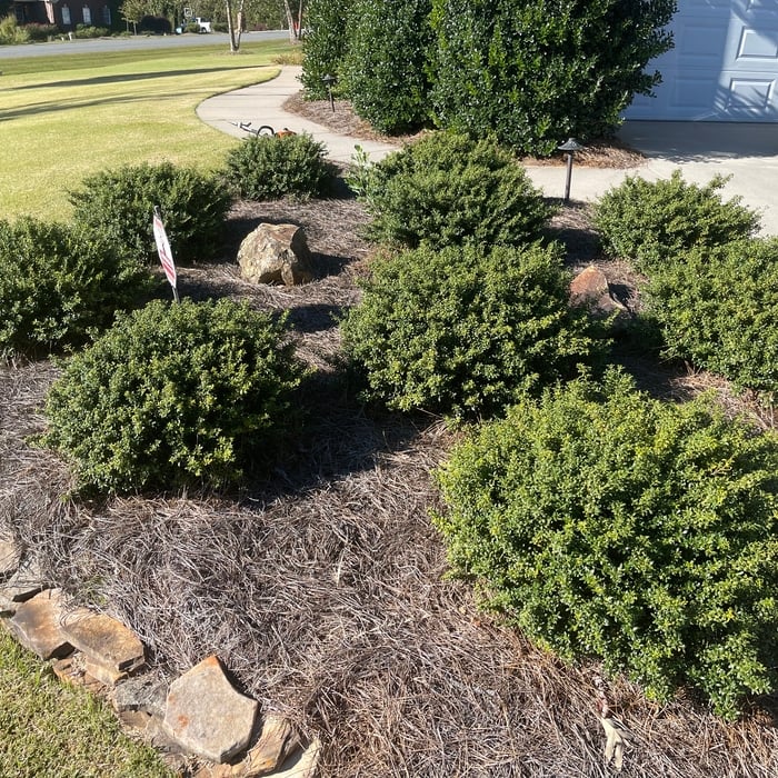 tobacco road lawn and landscaping Tobacco Road Lawn Care Reviews - Randleman, NC