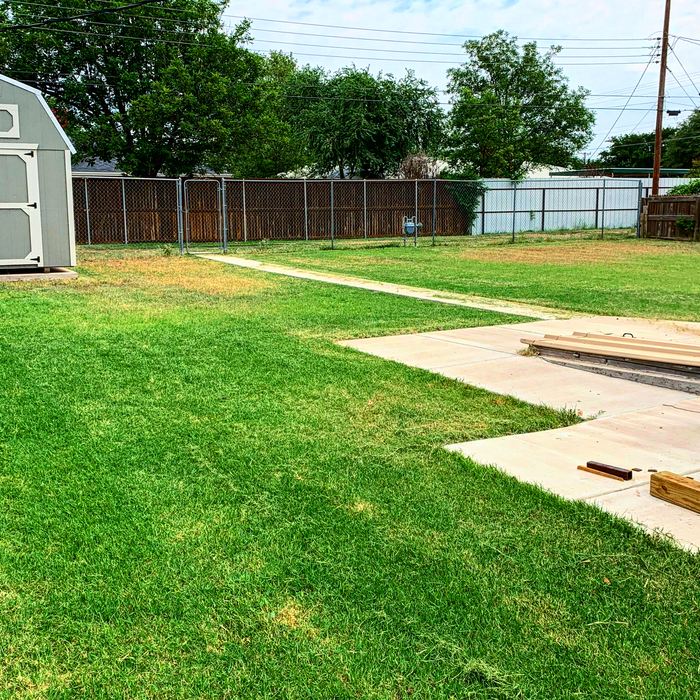 Backyard Cleanup and Mow