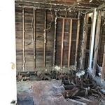New albany flip house #1