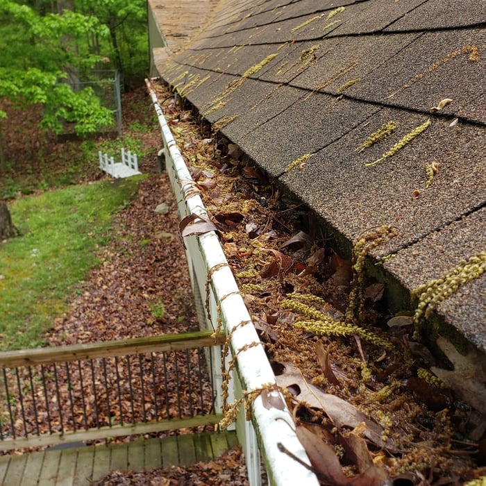 Before gutter cleaning