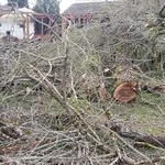 Storm damage