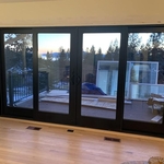 Window and Door replace