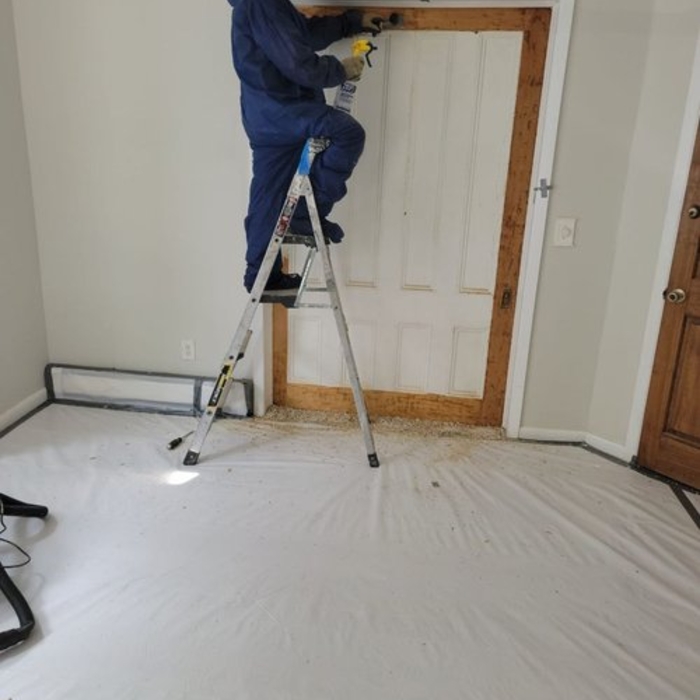 Lead abatement