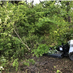 Land Clearing - Before