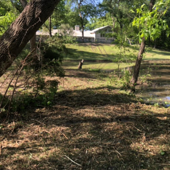 Land Clearing - After
