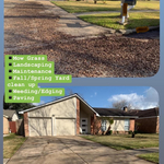 Spring Yard Cleanup