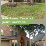 Spring Yard Cleanup