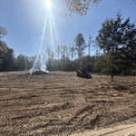 Tree work
