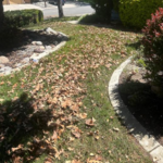Fall cleaning before