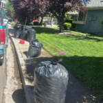 Fall cleaning after