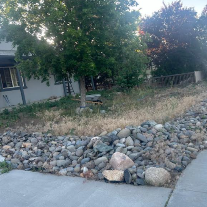 Yard Cleaning Before