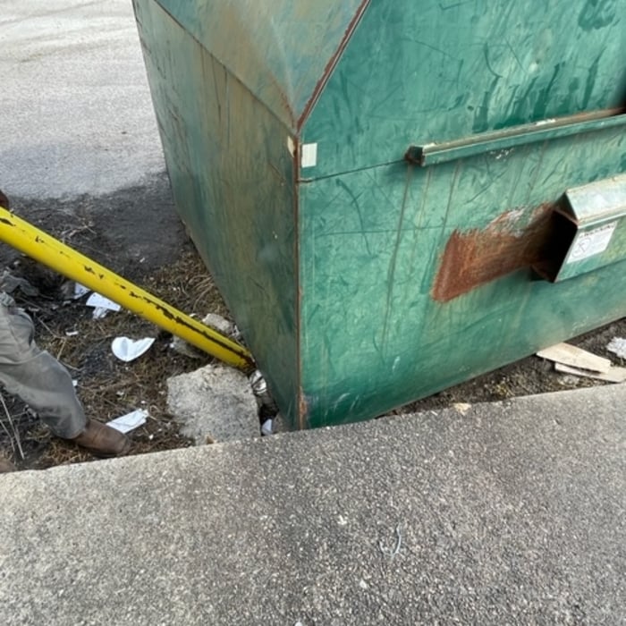 Dumpster on clean out