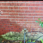 brick