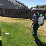 Spraying the foundation
