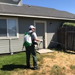 Fence line spray