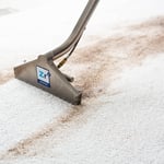 Carpet Cleaning
