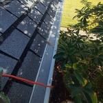Residental Gutter Cleanin