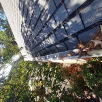Residental Gutter Cleanin