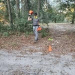 Tree Removal