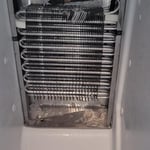 After proper steam thawing and cleaning.