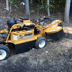 Tree Stumps / Stump Grind
