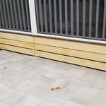 Deck After Adding Skirting