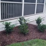 Deck After Completing Skirting