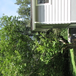 Sample Inspection Photos