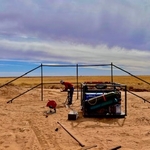 Fencing