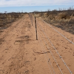 Barbed wire fencing
