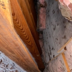 Attic/Roof