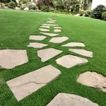 Paver Front Yard