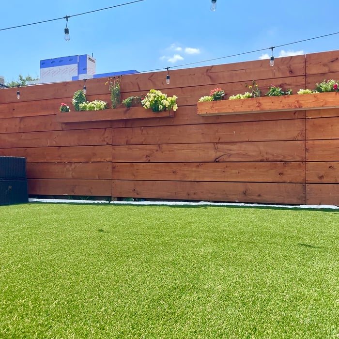 Philadelphia Backyard
