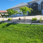 Landscape curbing