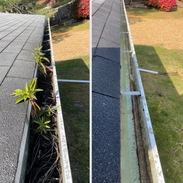 gutter cleaned