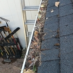 Full gutters / fire harzard