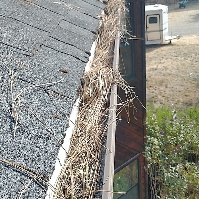Gutter cleaning
