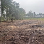 Forestry mulching