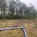 Forestry mulching