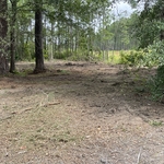 Forestry mulching