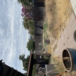 Yard Clean Out