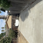 Yard Clean Out/Junk Removal